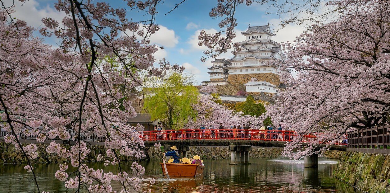 De Washington a Tokio: «los mejores lugares para ver los cerezos en flor»
