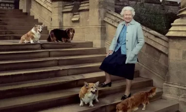 El futuro de los corgis de Isabel II: quién se quedará con los fieles compañeros de la reina durante toda su vida