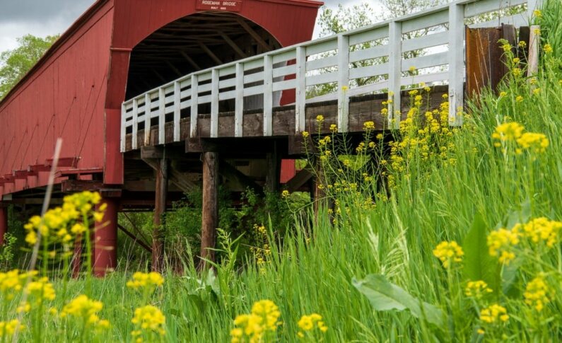 Los cinco puentes de madera más lindos del mundo