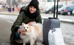 Adoptó al perro que le salvó la vida cuando bombardeaban su casa en Ucrania