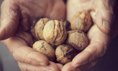 Las mejores y peores dietas para el corazón, según una revisión de expertos